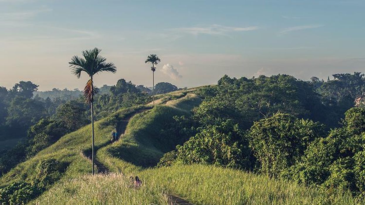 The Getaway: Bali High