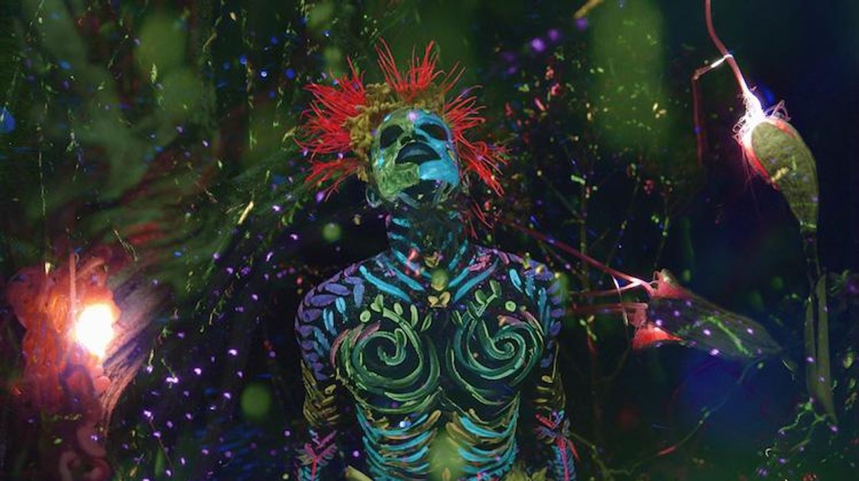 The Serengeti Experience by President Bongo & The Snorri Bros