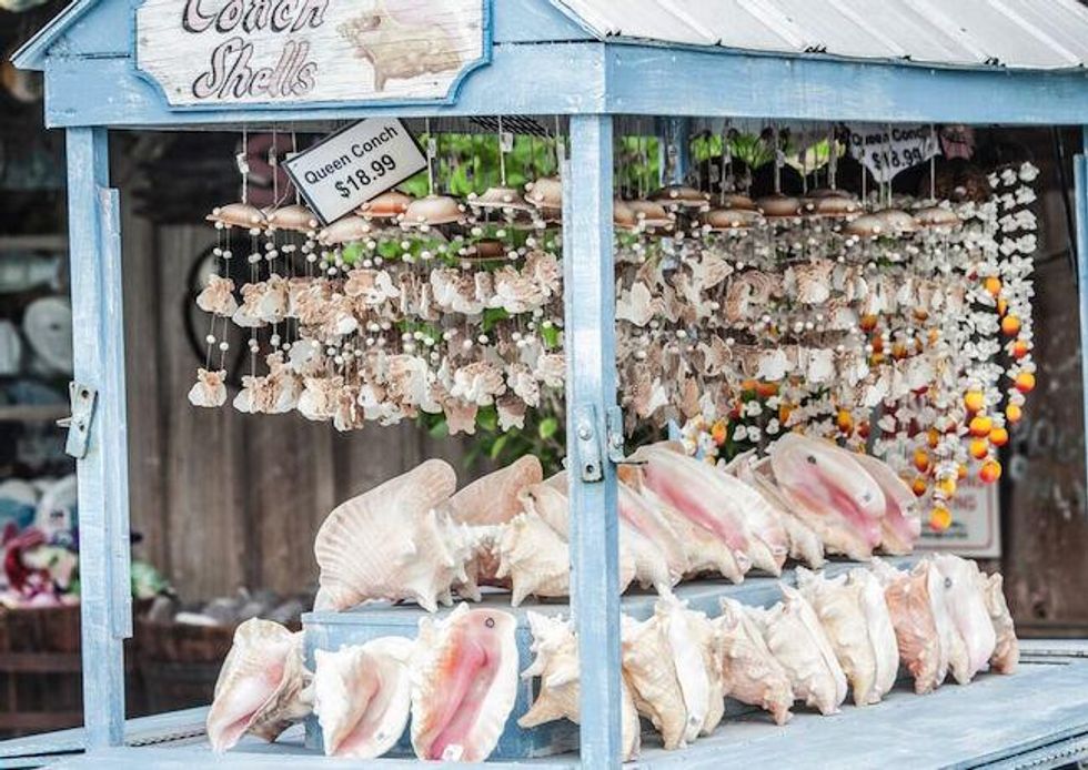 The Shell of Key West