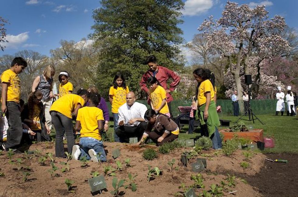 The White House Vegetable Garden
