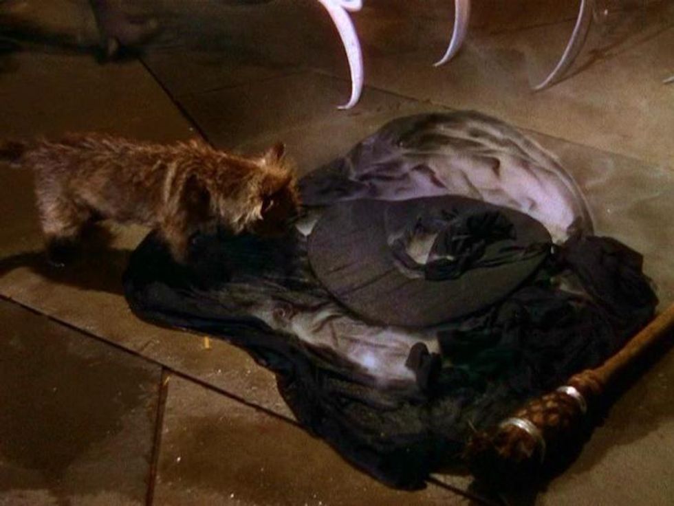 The Wicked Witch of the West in 'The Wizard Of Oz'