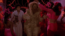 the wiz poppy girls gif