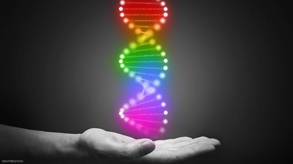 There's No Such Thing As a 'Gay Gene,' Study Finds