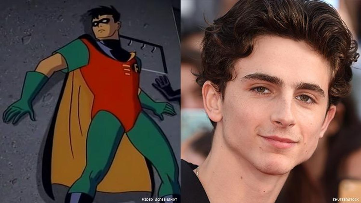 Timothée Chalamet as Robin? I Would Like to See It