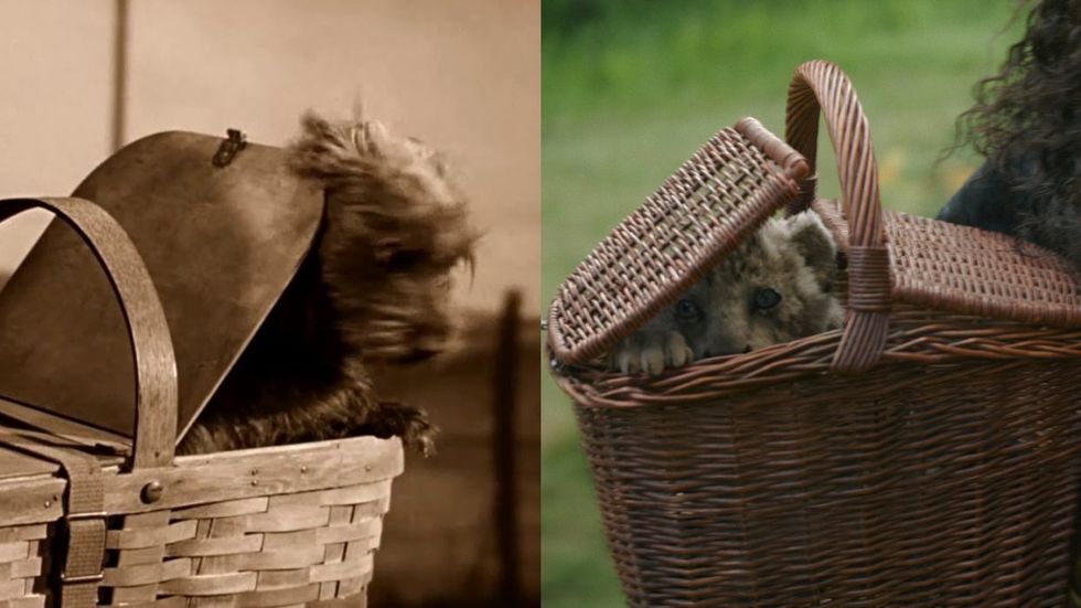 Toto in The Wizard of Oz; Lion cub in Wicked