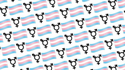 Apple Finally Has Trans Flag and Trans Symbol Emojis