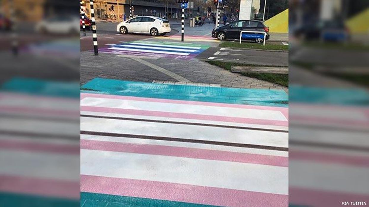 Trans flag crosswalk