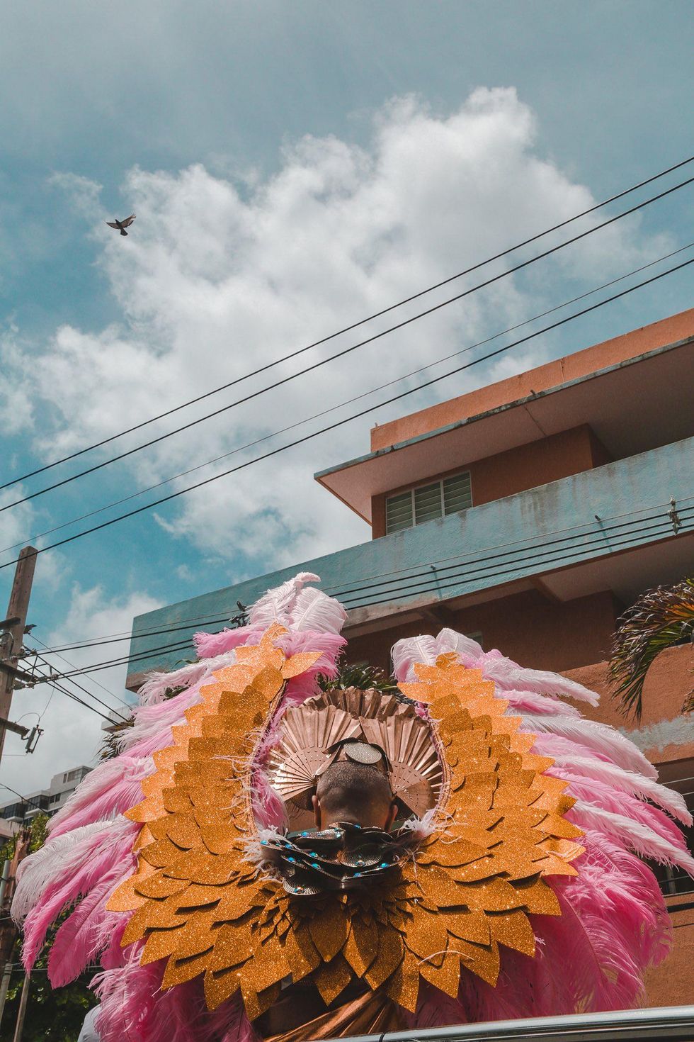 Trans Power & Queer Visibility at Puerto Rican Pride