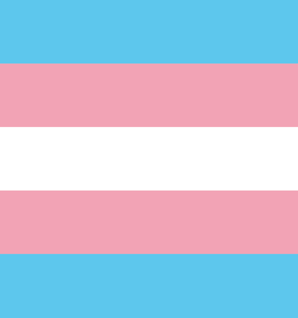 trans pride flag