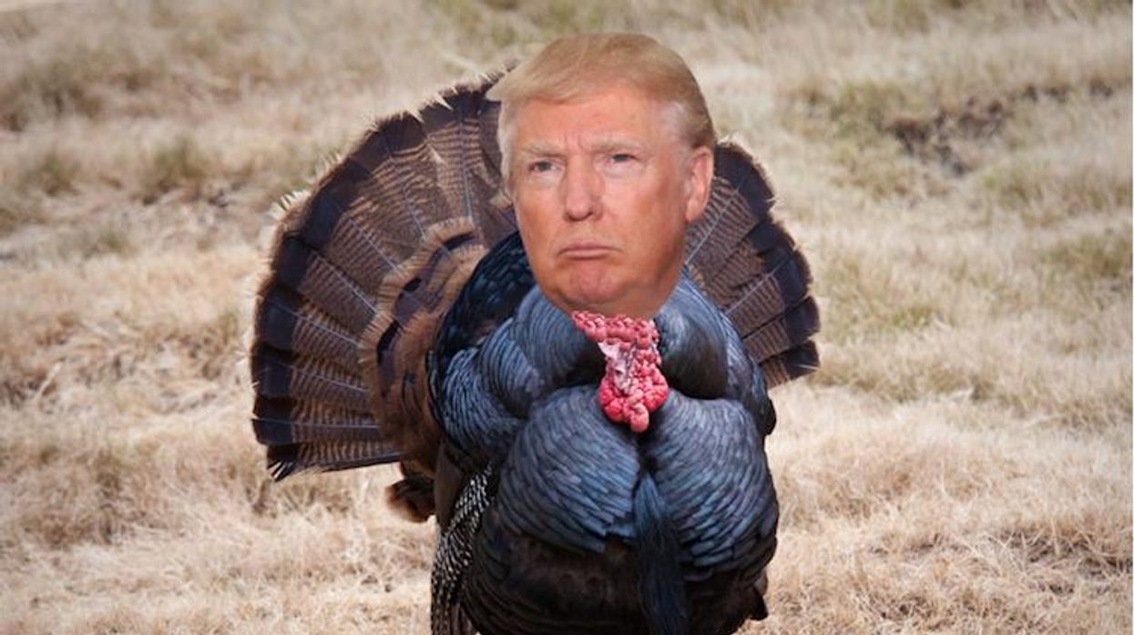 trump-turkey.jpg