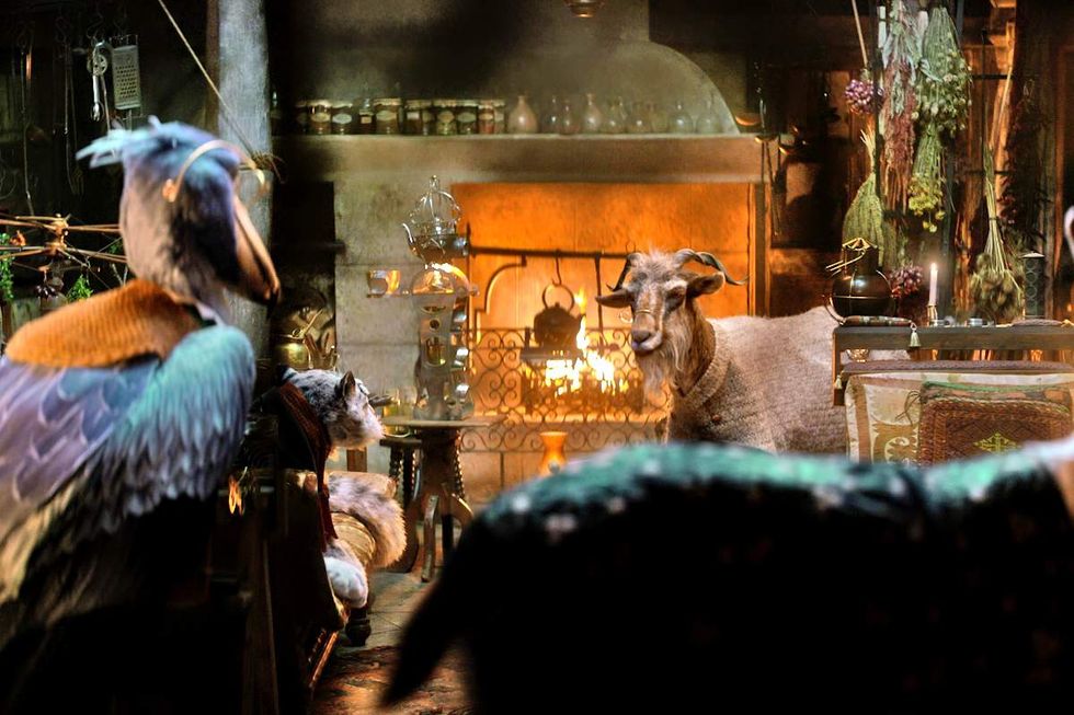 \u200bDoctor Dillamond has a meeting with other Animals in the \u200bWicked\u200b movie