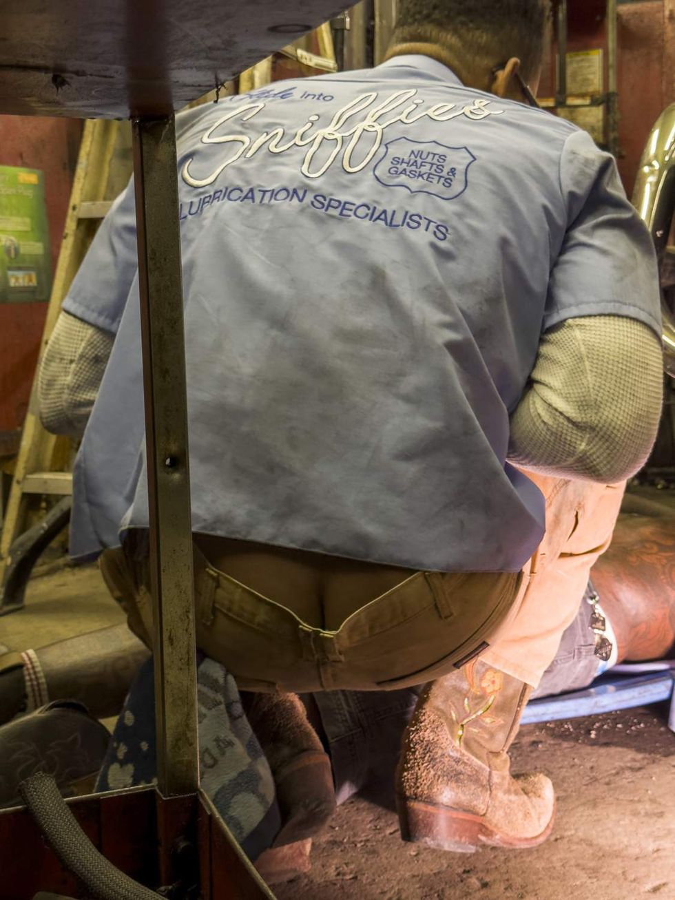 \u200bSniffies trucker collection