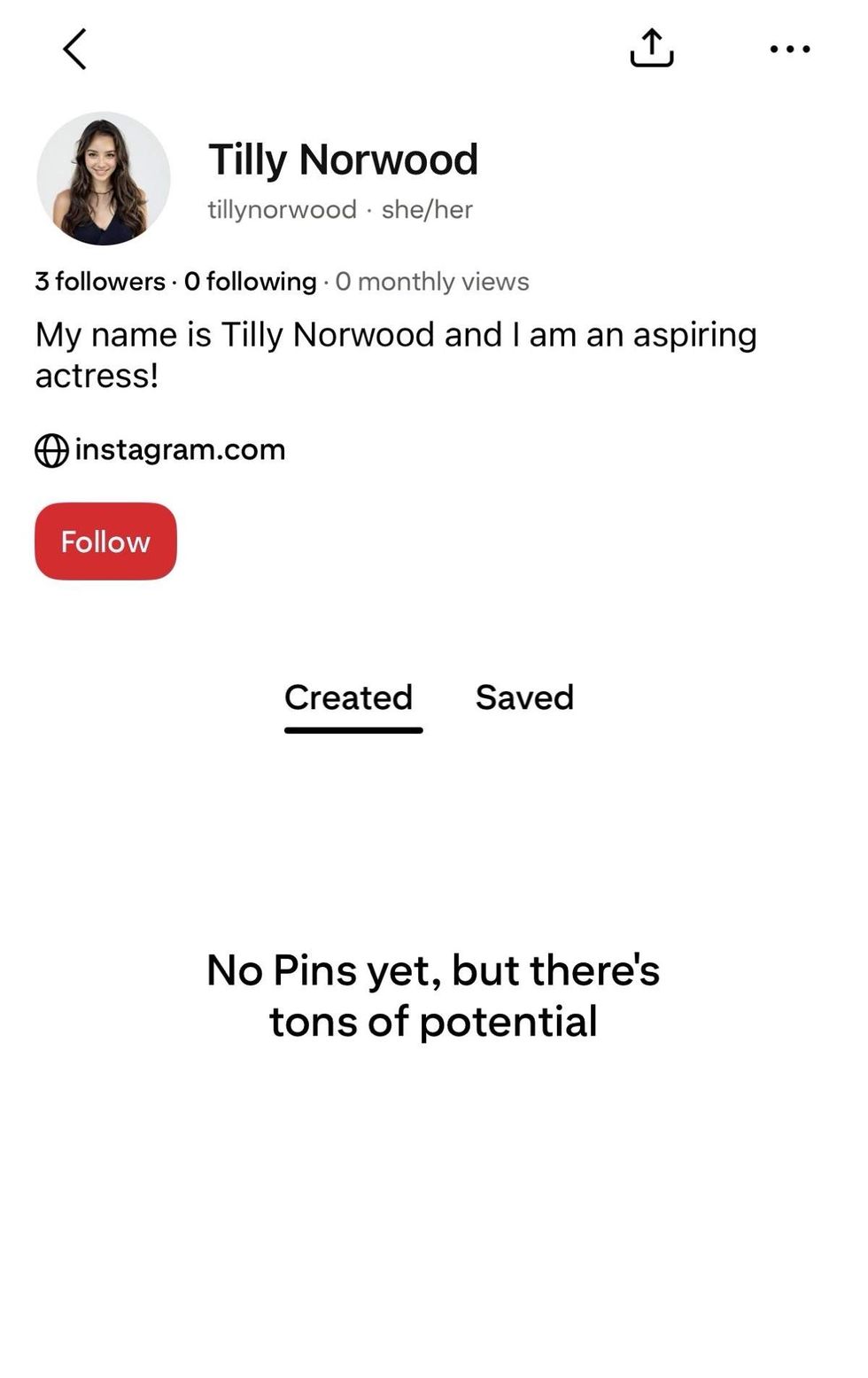 \u200bSocial media profile created for AI persona Tilly Norwood on Pinterest