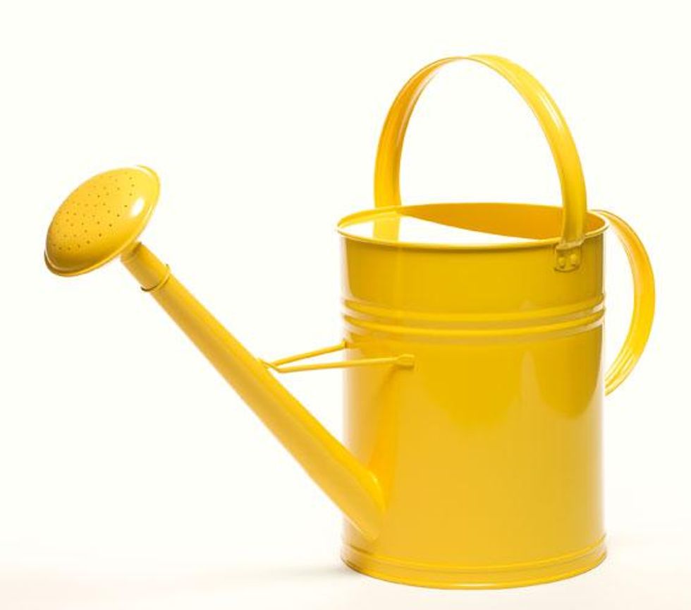 Watering Can