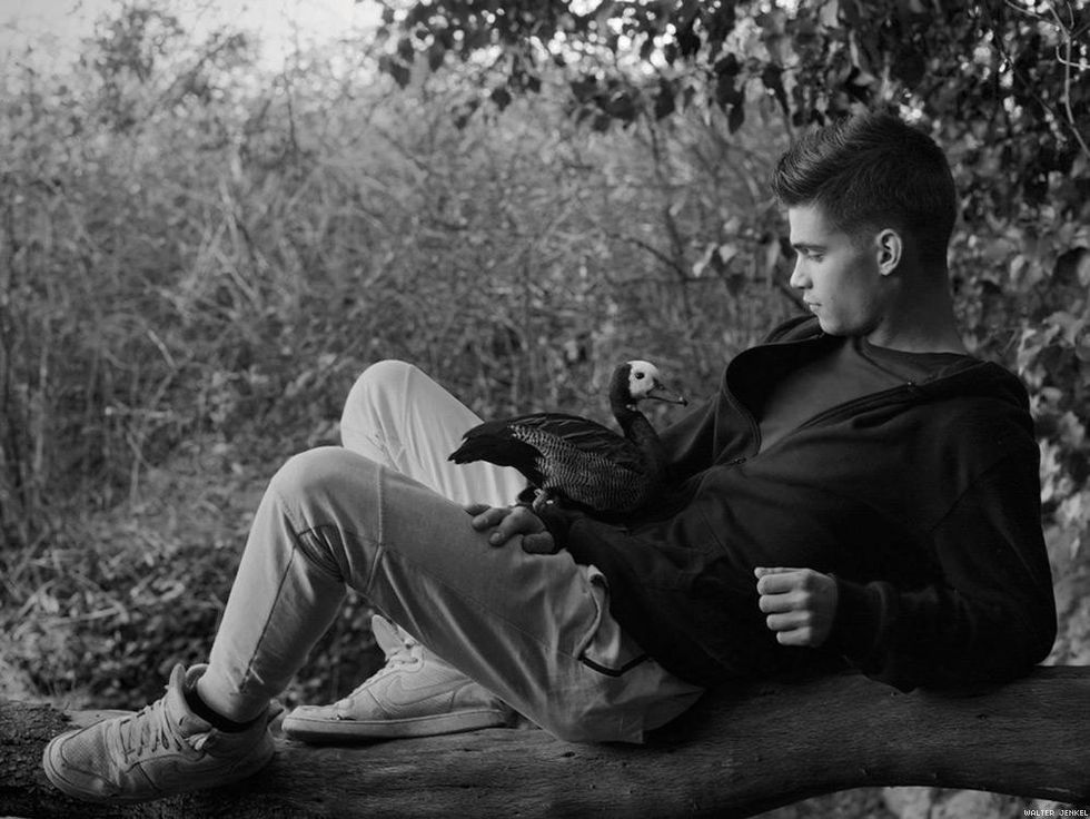 White-faced whistling duck (Dendrocygna viduata)