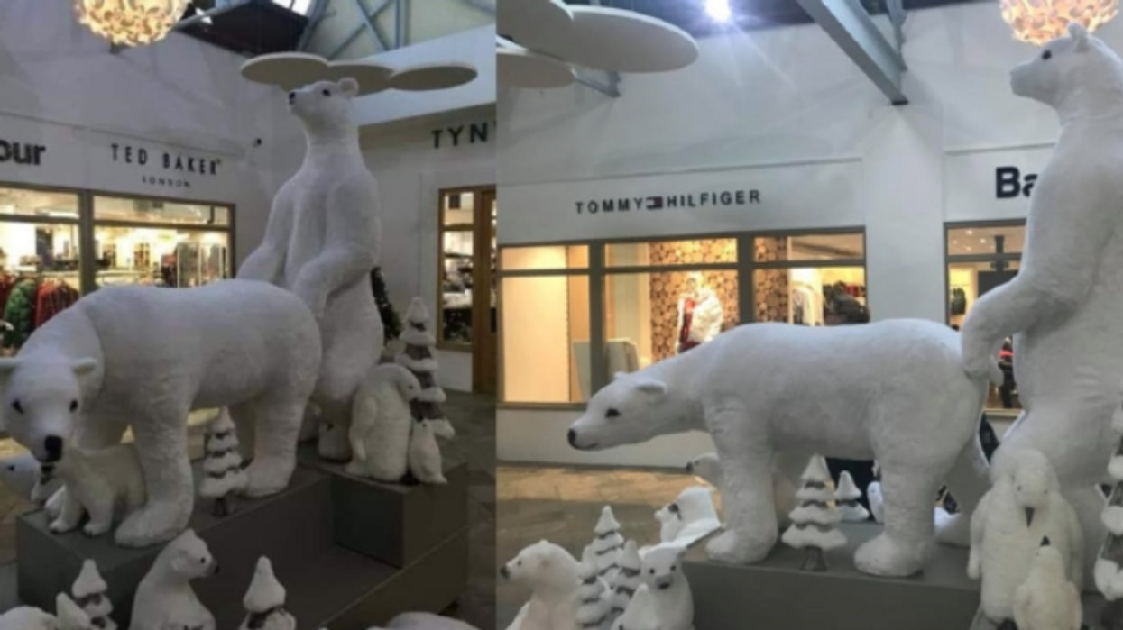 Why Can’t These Polar Bears Simulate Anal Sex in Holiday Peace?