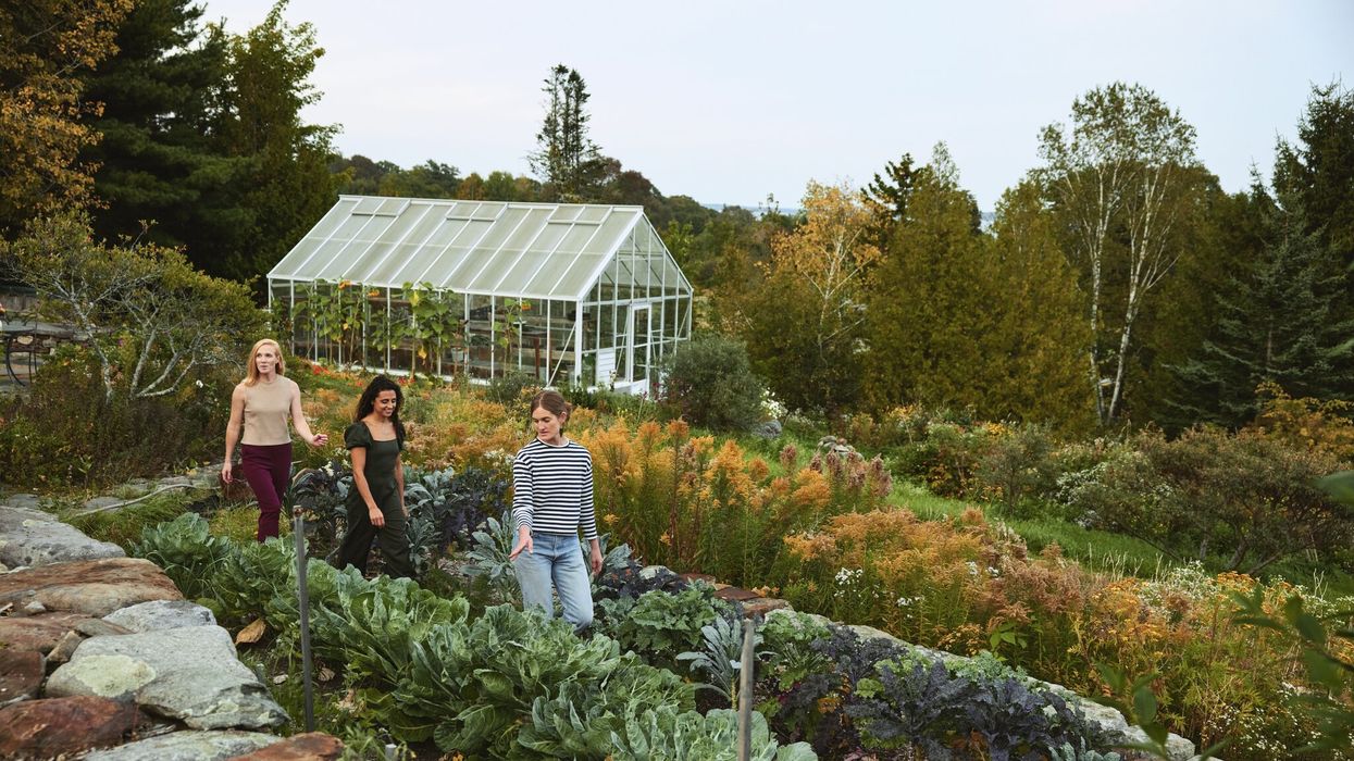 Why OutTravelers are falling hard for Maine’s coastal, LGBTQ+ charms