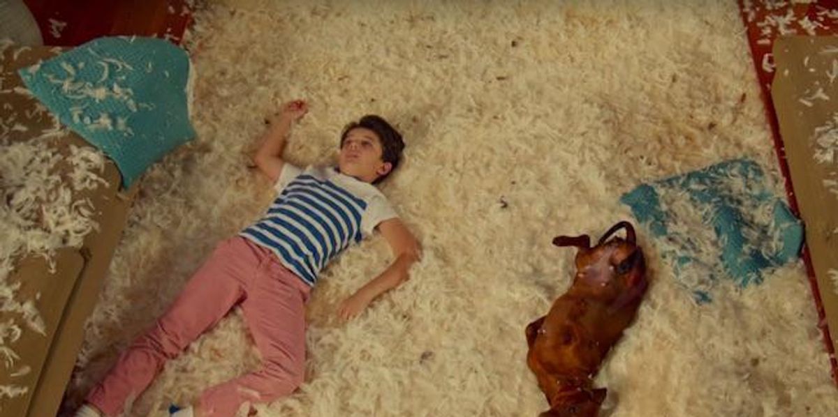Todd Solondz Gives a Gay Filmmaking Masterclass in 'Wiener-Dog'