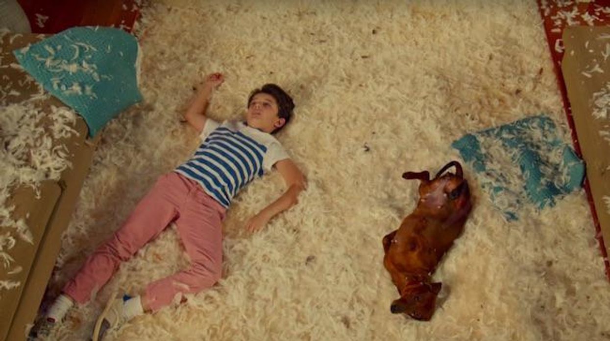 wiener dog movie