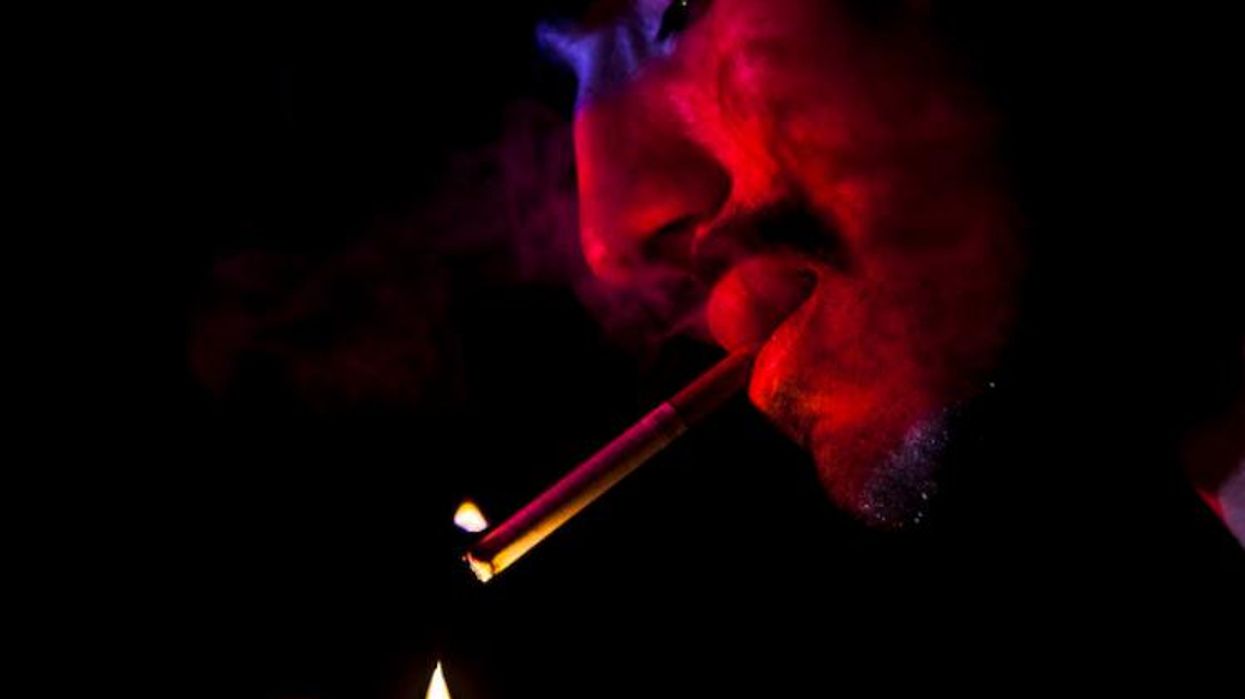 Willycartier-nocebo-torrado