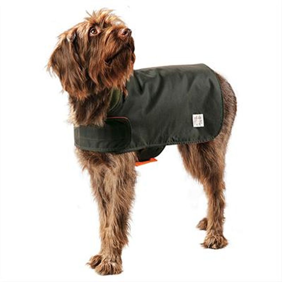 Wool Lined Dog Coat