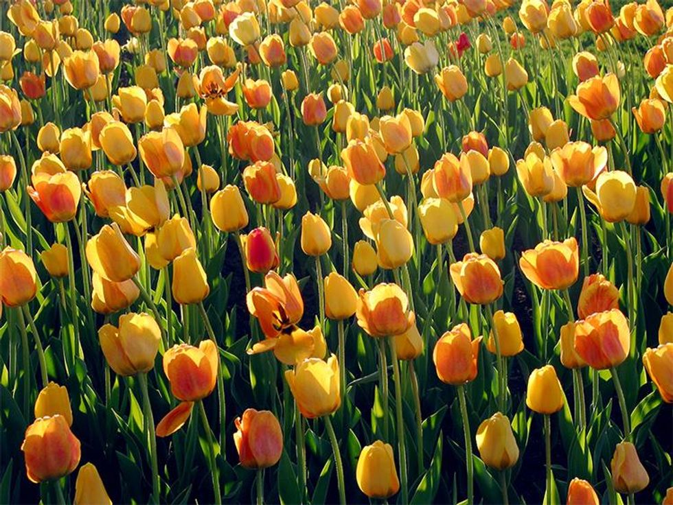 Z Zegna Fall/Winter 2013