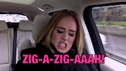 zig a zig adele