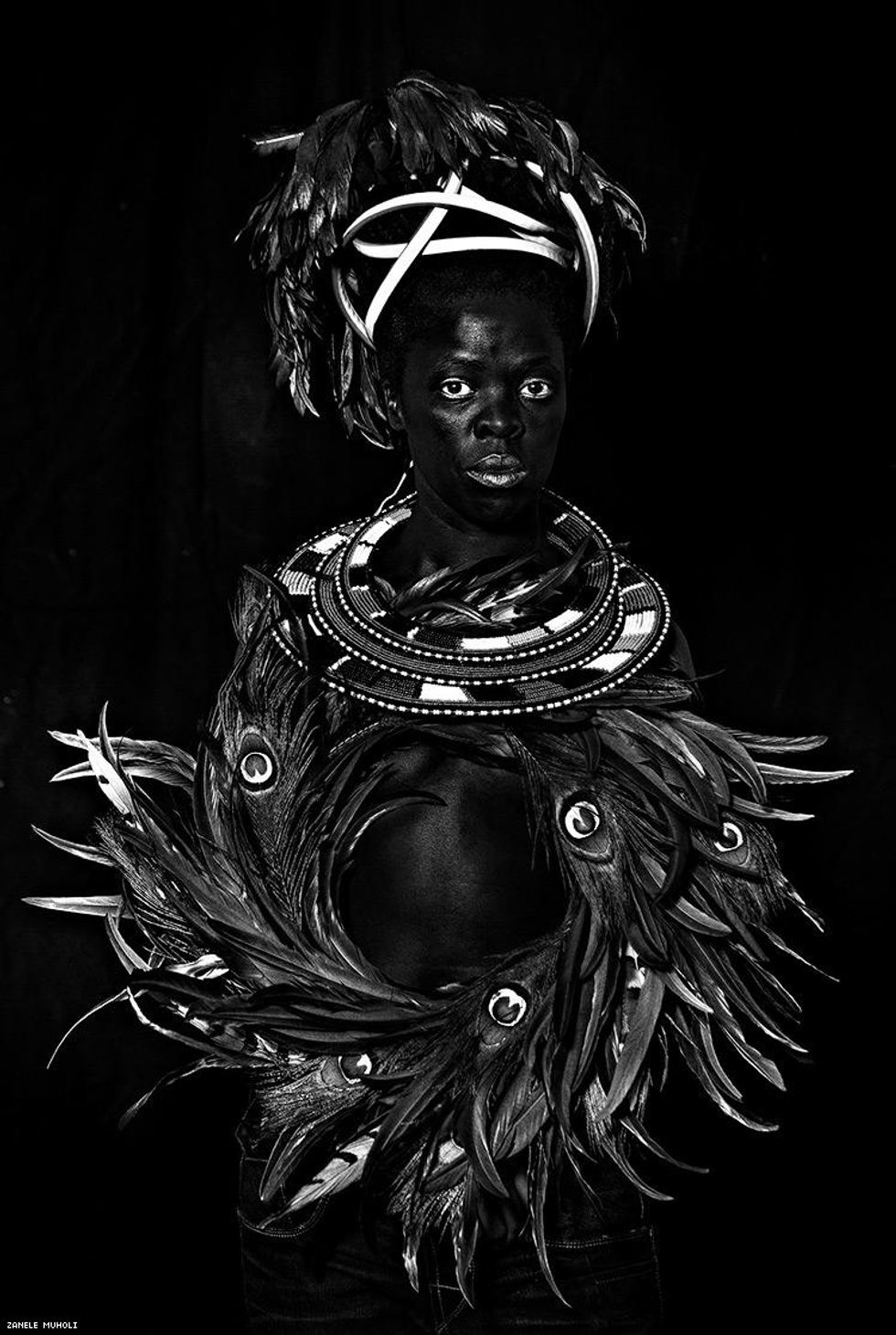 Zm_img_6108-1_300_jl_1