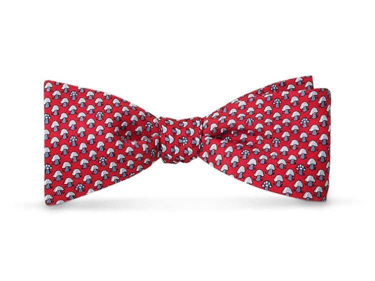 5 of the Best Bow Ties