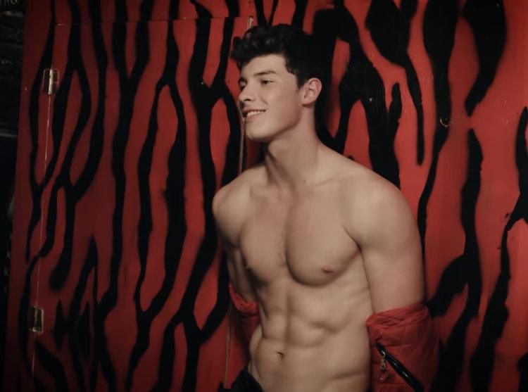 Shawn Mendes Shows Off Chiseled Chest for 'Flaunt' Magazine