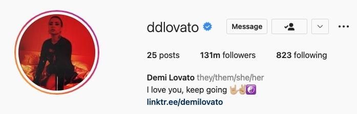Demi Lovato Instagram bio