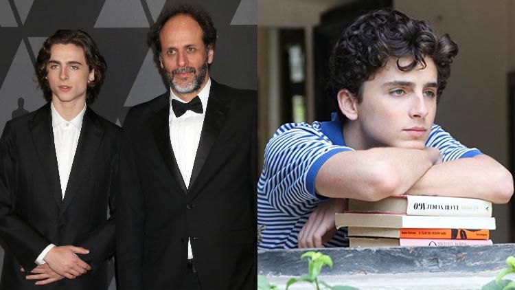 luca-guadagnino-call-me-by-your-name-sequel-timothee-chalamet-elio-armie-hammer.jpg