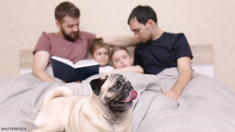 gay family with dog