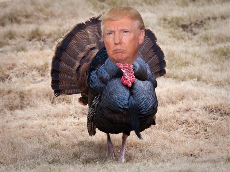 How to Survive Thanksgiving with Your Pro-Trump Family