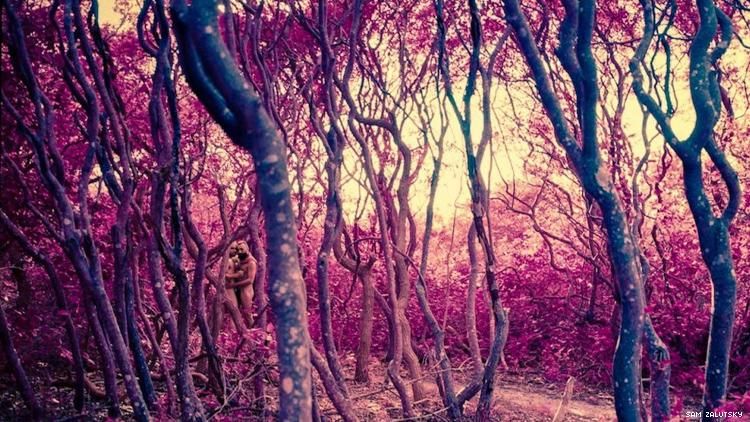 Sam Zalutsky photo of the Meat Rack