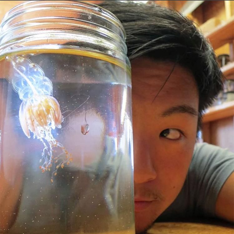Reyn Yoshioka: "I am queer and I am a marine disease ecologist."