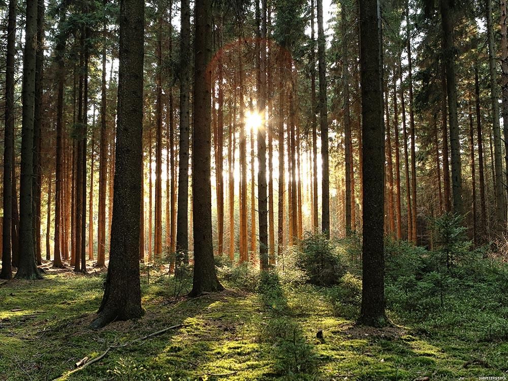 13 Sex Tips for Gay Men Who Think They Know It All