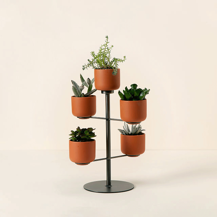 Modern Desktop Terracotta Planter