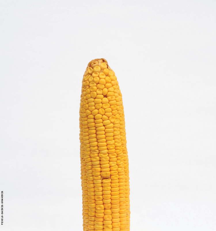 corn on the cob