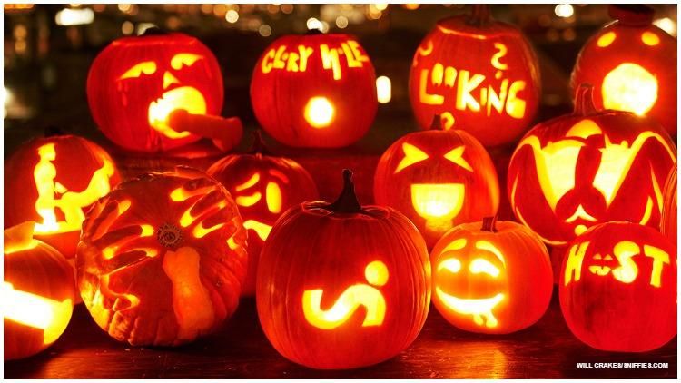 11 Gay Adult Pumpkin Carvings We Can T Get Enough Of Collection by amy se eun kim • last updated 12 weeks ago. 11 gay adult pumpkin carvings we can t
